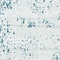 See color option for 6' x 9' Monaco Rug
