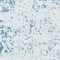 See color option for 3' 3 x 5' 3 Monte Carlo Rug