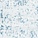 See color option for 3' 3 x 19' 8 Monaco Runner Rug