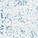 See color option for 3' 3 x 16' 5 Monaco Runner Rug