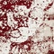 See color option for 6' x 9' Monaco Rug
