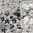 See color option for 3' 3 x 19' 8 Monaco Runner Rug