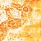 Link to variation of this rug: SKU#3141373