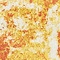 Link to variation of this rug: SKU#3141297