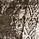 See color option for 3' 3 x 16' 5 Monaco Runner Rug