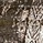 See color option for 2' x 9' 10 Monaco Runner Rug