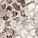 See color option for 3' 3 x 16' 5 Monaco Runner Rug