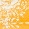 Link to variation of this rug: SKU#3141637