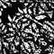 See color option for 3' 3 x 5' 3 Monte Carlo Rug