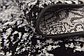 6' x 6' Monte Carlo Square Rug thumbnail image 9