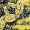 Link to variation of this rug: SKU#3141373