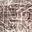 Link to variation of this rug: SKU#3141630