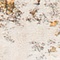 See color option for 2' 2 x 6' Solaris Runner Rug