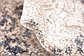 6' x 9' Villa Rug thumbnail image 14