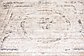 7' x 7' Villa Square Rug thumbnail image 4