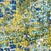 See color option for 2' 7 x 10' Spectrum Runner Rug