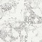 See color option for 8' x 8' Brighella Round Rug