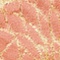 See color option for 2' x 6' Marilyn Monroe™ ...