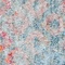 See color option for 2' 2 x 3' Andromeda Rug