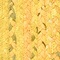 Mustard Yellow