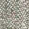 Link to variation of this rug: SKU#3142704