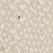 See color option for 3' 3 x 5' Braided Chindi Oval Rug
