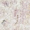 See color option for 2' 2 x 6' Madrid Runner Rug