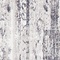See color option for 4' x 6' Vega Rug