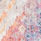 Link to variation of this rug: SKU#3143149