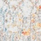 See color option for 2' 7 x 8' 2 Brooklyn Runner Rug