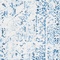 See color option for 3' 3 x 5' 3 Brooklyn Rug