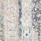 See color option for 5' x 8' Madrid Rug