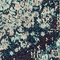 Link to variation of this rug: SKU#3143341