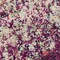 Link to variation of this rug: SKU#3143338