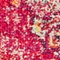 See color option for 2' 2 x 6' Carrington Runner Rug