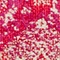 See color option for 2' 2 x 6' Carrington Runner Rug