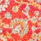 Link to variation of this rug: SKU#3143467