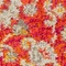 Rust Red