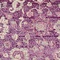 See color option for 275cm x 365cm Carrington Rug