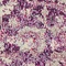 Link to variation of this rug: SKU#3143467