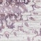 See color option for 4' x 6' Derbyshire Rug