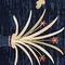 See color option for 9' x 12' Pao Tou Rug