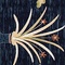 See color option for 8' x 10' Pao Tou Rug