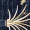 See color option for 5' x 8' Pao Tou Rug