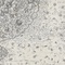 See color option for 8' x 10' Bexley Rug