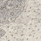 See color option for 8' x 8' Dover Round Rug