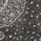 See color option for 5' x 8' Bexley Rug