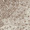 See color option for 5' x 5' Bexley Round Rug