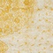 See color option for 9' x 12' Bexley Rug