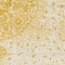 See color option for 8' x 10' Bexley Rug